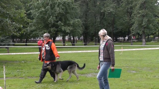 "Сосновая" 12.06.2013.