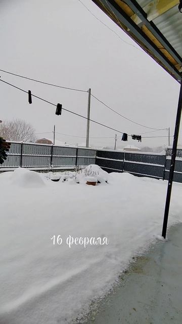 Краснодарский край засыпает снегом ❄️❄️❄️#зиманаюге