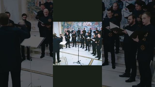 П. Чесноков «Пресвятей Богородице помолимся» #music #orthodox #choir #shorts #malechoir #музыка