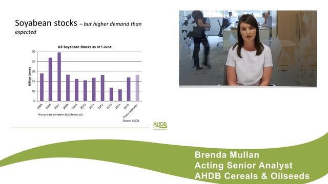 Oilseed markets update – weather, more weather and currency changes