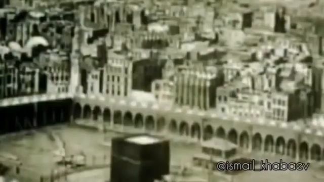 Хабаев Исмаил Ибрагимович об Шейхе Митаевых