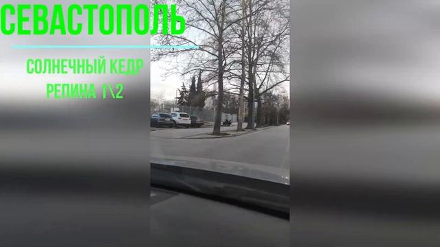 Солнечный Кедр