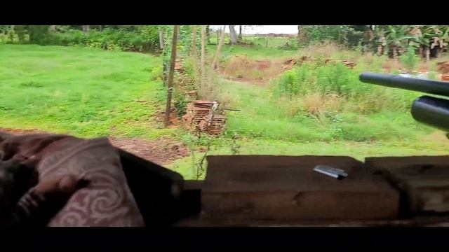 agrupamento com kral super jumbo 5.5 usando slug de 23gr @natureza220