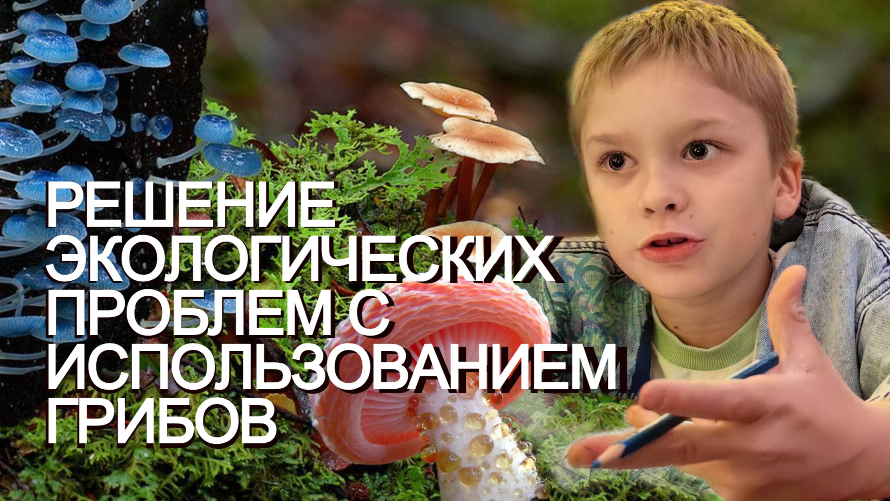 Решение проблем с использованием грибов