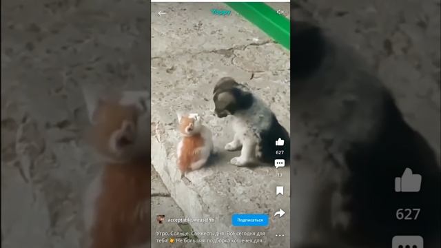 занесло ,эх занесло меня