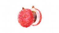 Watercolor appearance animation of the lichi on the alpha channel.