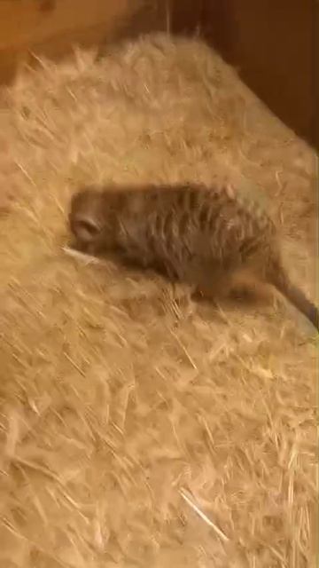1000006516.mp4