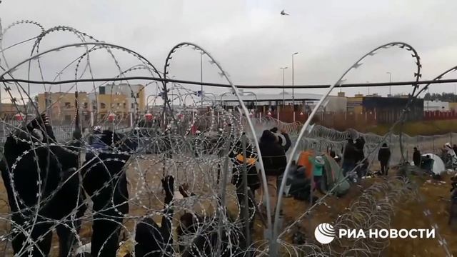 Migrants expelled back into Belarus from Poland