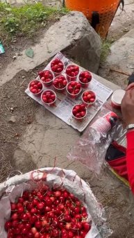 Original Cherry 🍒 First Time Khelam #ytshorts #testy #cherry #status #srpersonalexperience #foryou