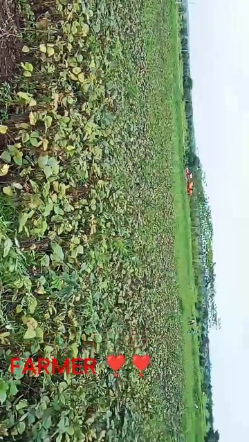 Farmers land