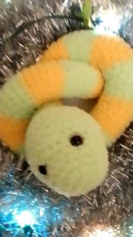 VID_20241124_073220.mp4