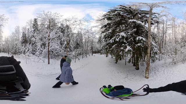 4к видео 360 панорама vr video прогулка в зимнем лесу в поисках белки.