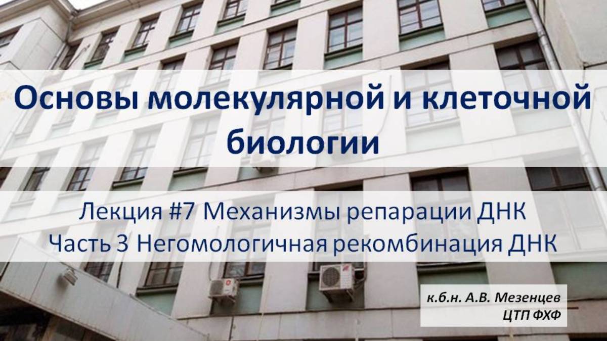 Основы молекулярной и клеточной биологии (2024) Л7 Репарация ДНК Ч1 Негомологичная рекомбинация