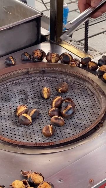 It’s Chestnut season! 🌰 #shorts #chestnut #autumn #castagne #turkey