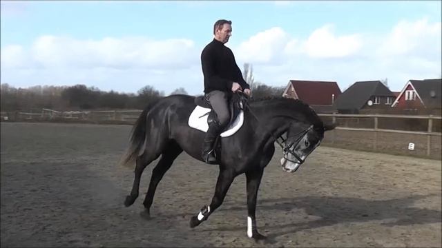 Darina Reiten und Springen unter dem Sattel