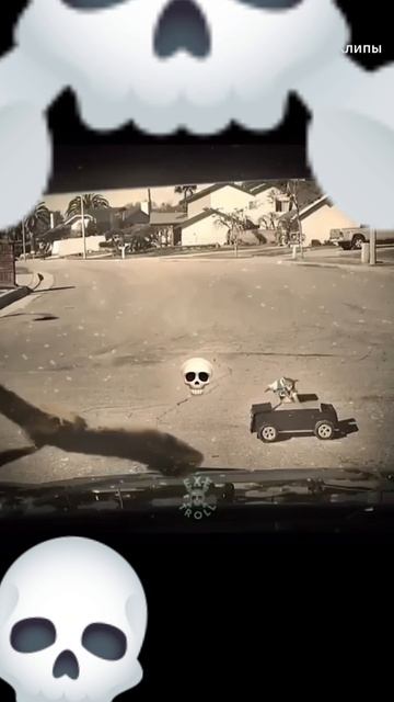 💀☠️