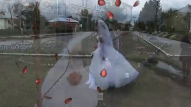 Эпизоды свадьбы