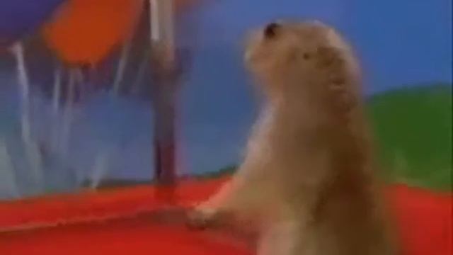 {YTP Mini} Blame It on the Grapefruit Technique