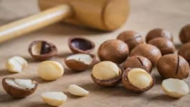 BENEFITS OF MACADAMIA NUTS