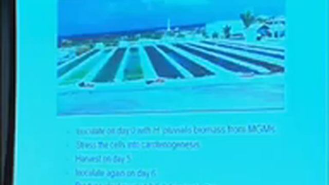 Growing Products in Microalgae: From Nutraceuticals to Human Proteins- Miguel Oliazola