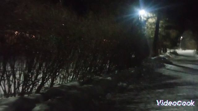 VideoCook_20250116_223027741.mp4