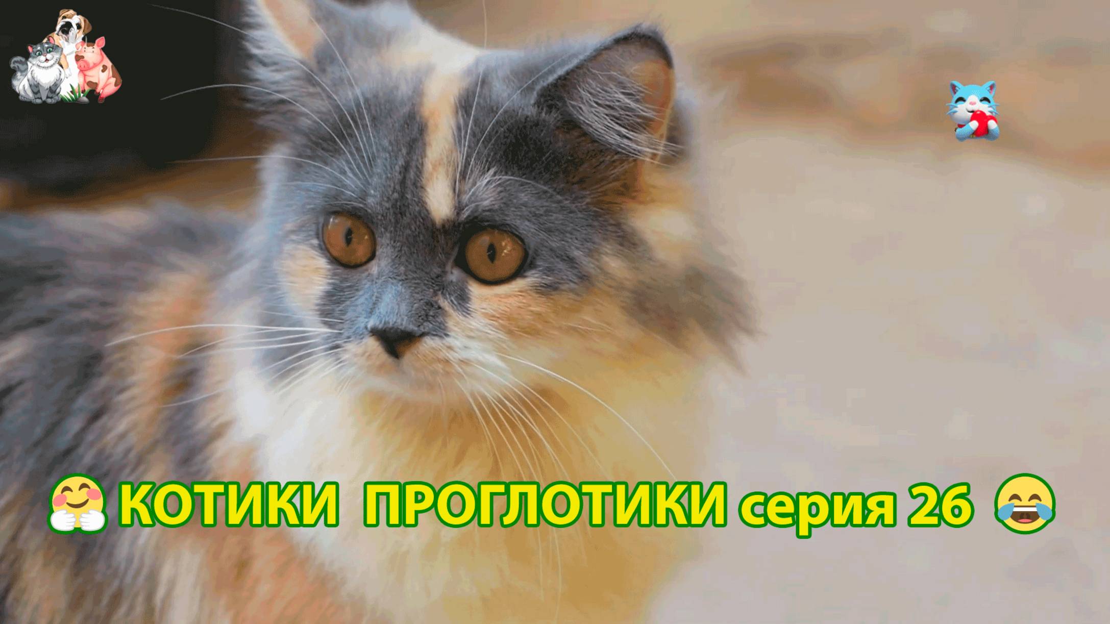 Котики-проглотики растут будущие птицеводы 🐈🐈⬛😹 эпизод (26)