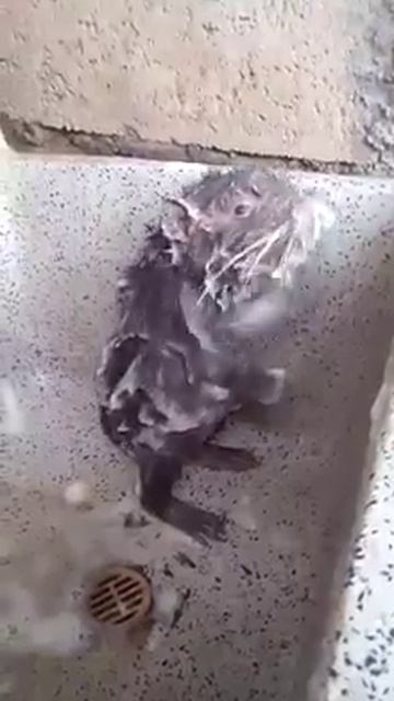 🌿 Юмор который просто есть

https://t.me/Qubitics