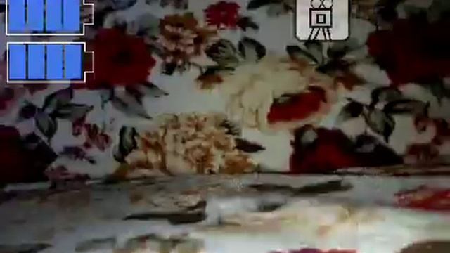 Ёжик атакует!!!!