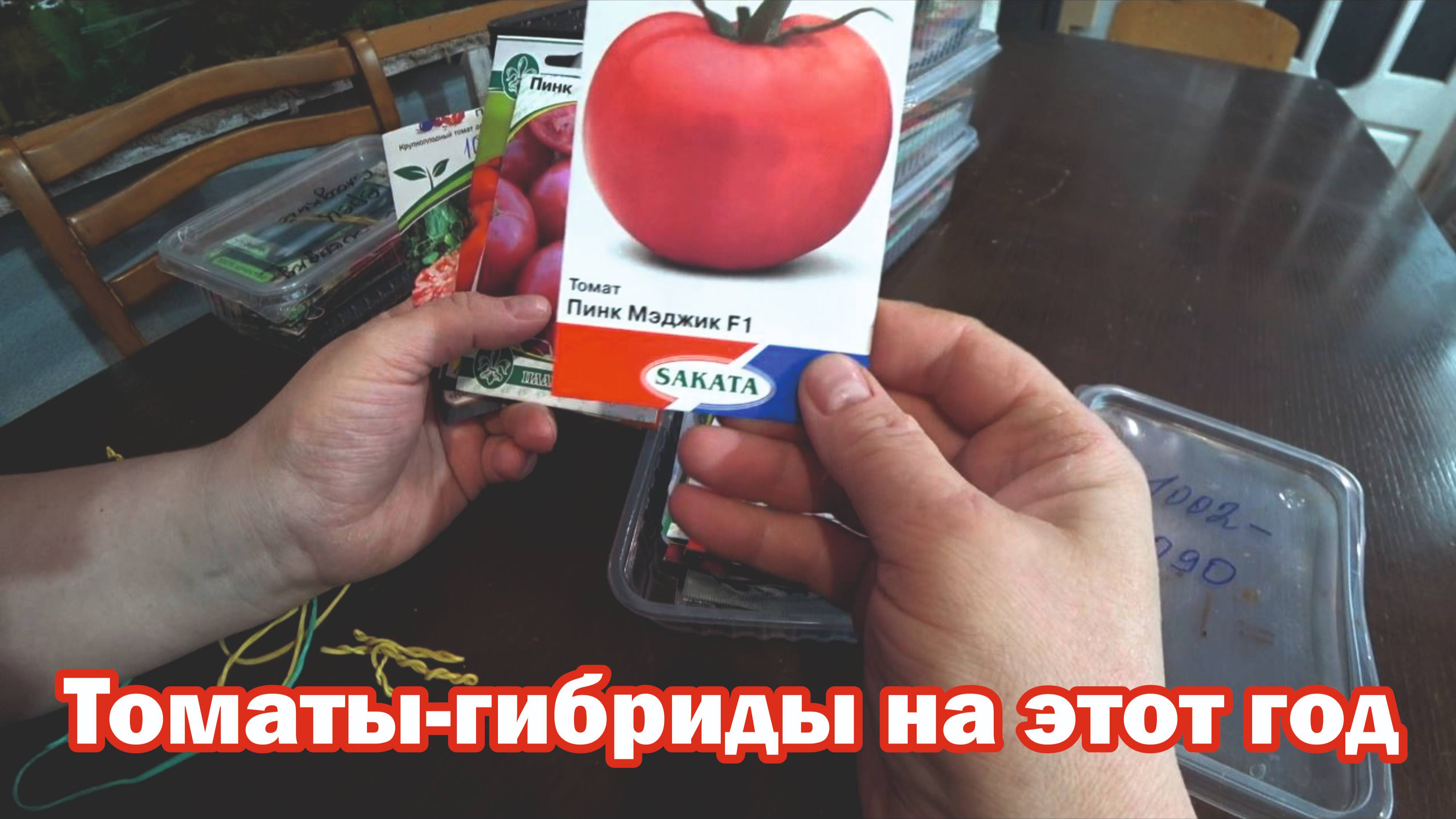 Томаты. Обзор гибридов, которые буду сеять в этом году