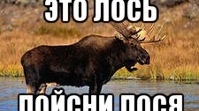 Дикий лосось😂😅😅берите природу