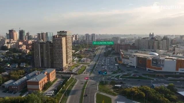 сакура парк