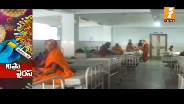 కోవిడ్ తరహాలోనే నిఫా వైరస్ || Nipah virus similar to Covid || Corona Virus || iFocus || iNews