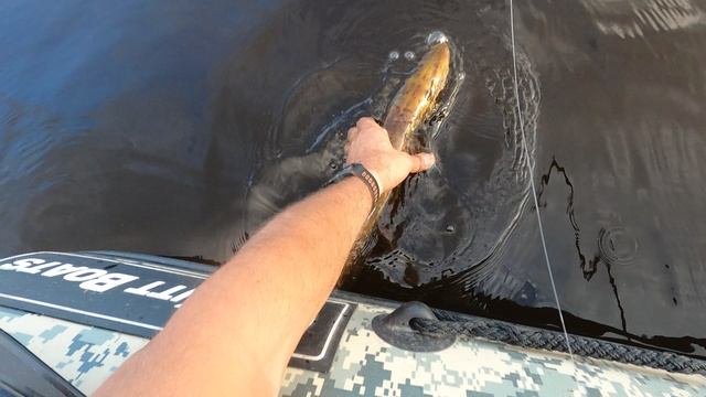 1000168175.mp4