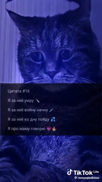 1000002920.mp4