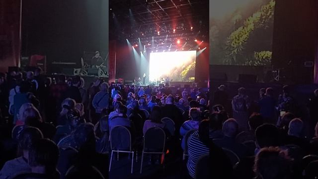 VID_20250216_141826.mp4