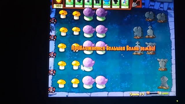 прохождение уровня 2и9 в растения против зомби