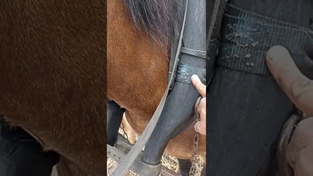 Новые клещи для раздвижного хомута.