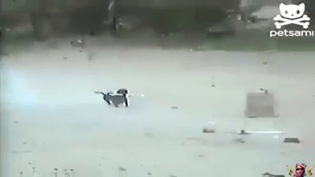 Рэмбо.