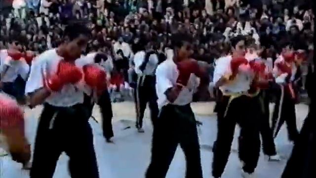Kickboxing & Self Defense Demonstration1995 Master Ramzi.avi