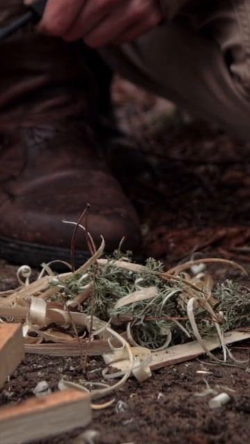 КОСТЁР В СЫРОМ ЛЕСУ#bushcraft #поход #лес #поход_в_лес