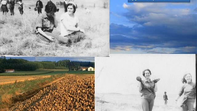 Студенческие годы часть третья