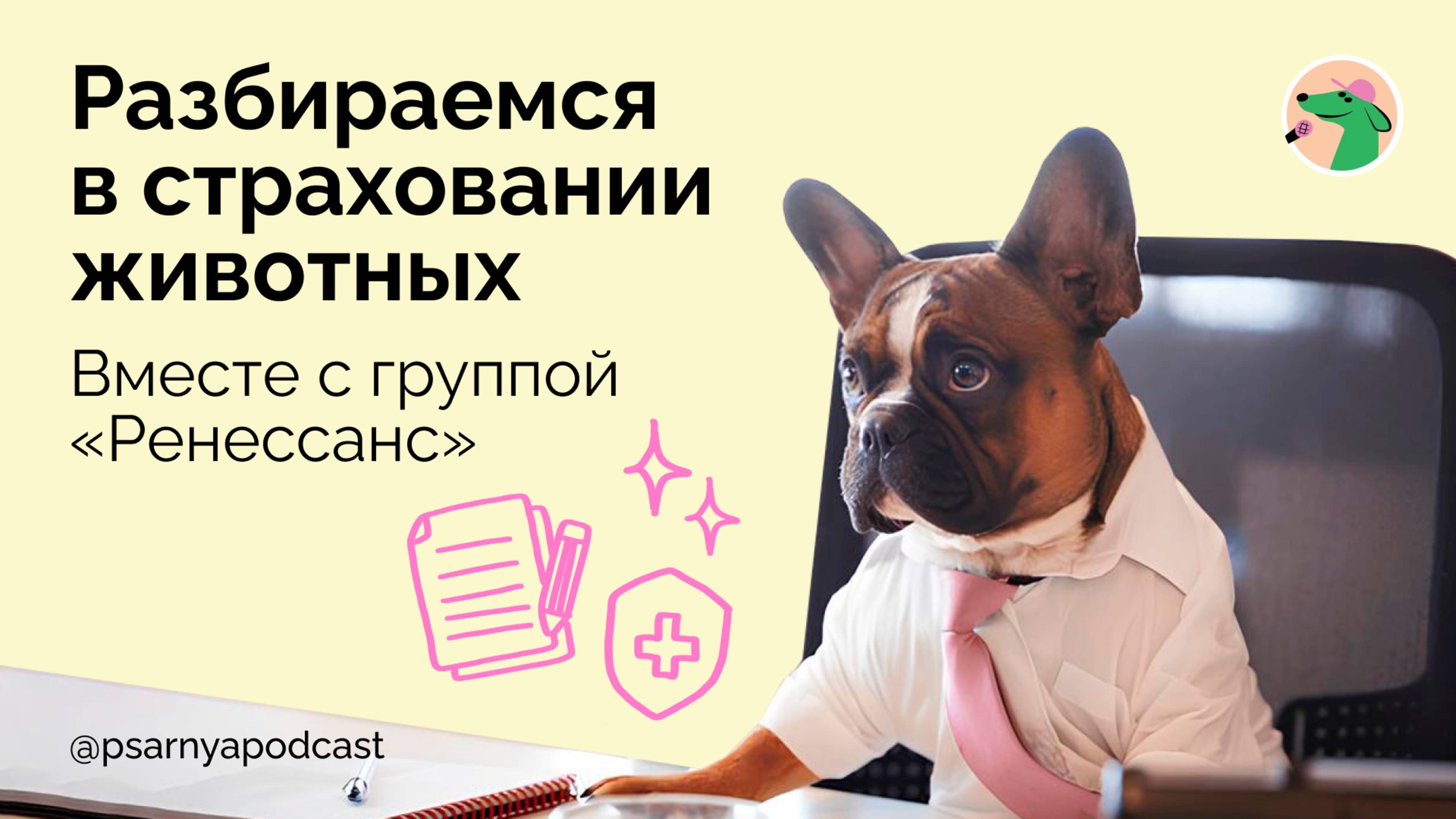 Разбираемся в страховании животных