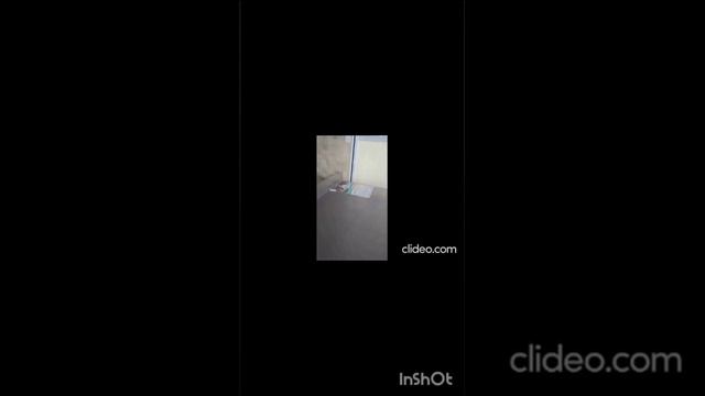 В магазине Аллея 13.02.2025.mp4