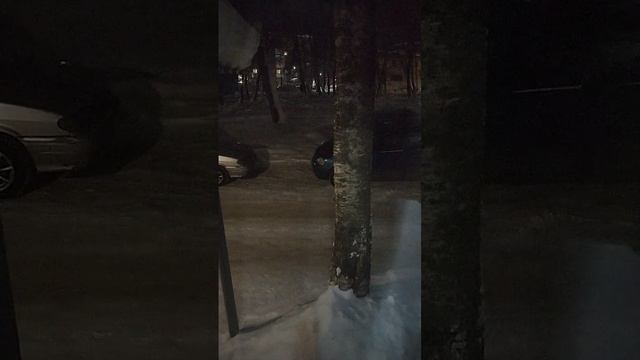 Вечер понедельника в коми My favorite yard