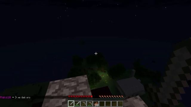 Залили дом в Minecraft