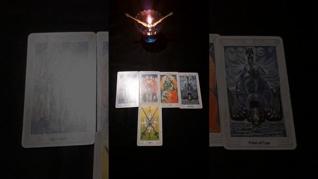 20250216_200901.mp4