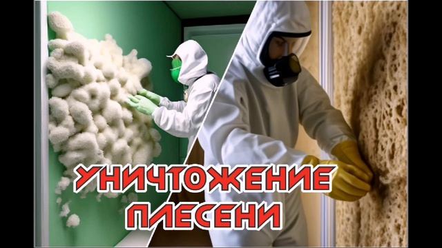 Уничтожение паразитов. Дмитров "Лотос-ДМ"