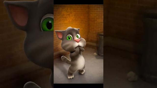 Talking Tom Game play #1@ mango ☺☺☺