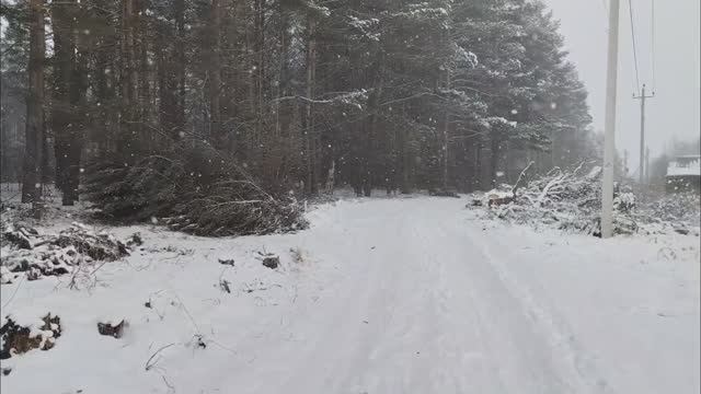 Снежное чудо. Видео