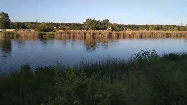 Клешня